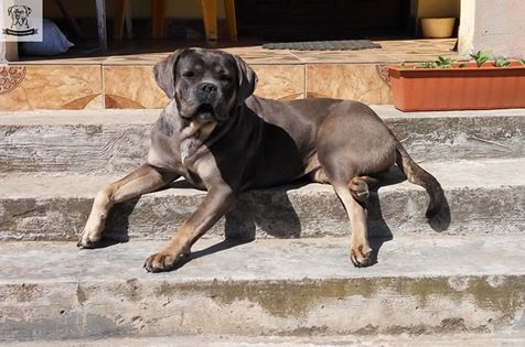 Madi przesyła Wszystkim Pozdrowienia